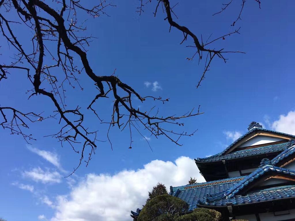 Kougetsu Sanso -- Moon Villa In Tokyo Hachioji Ngoại thất bức ảnh