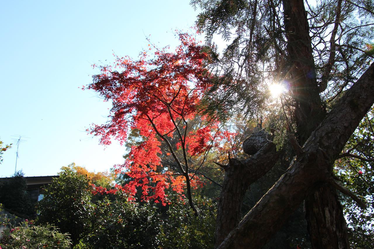 Kougetsu Sanso -- Moon Villa In Tokyo Hachioji Ngoại thất bức ảnh