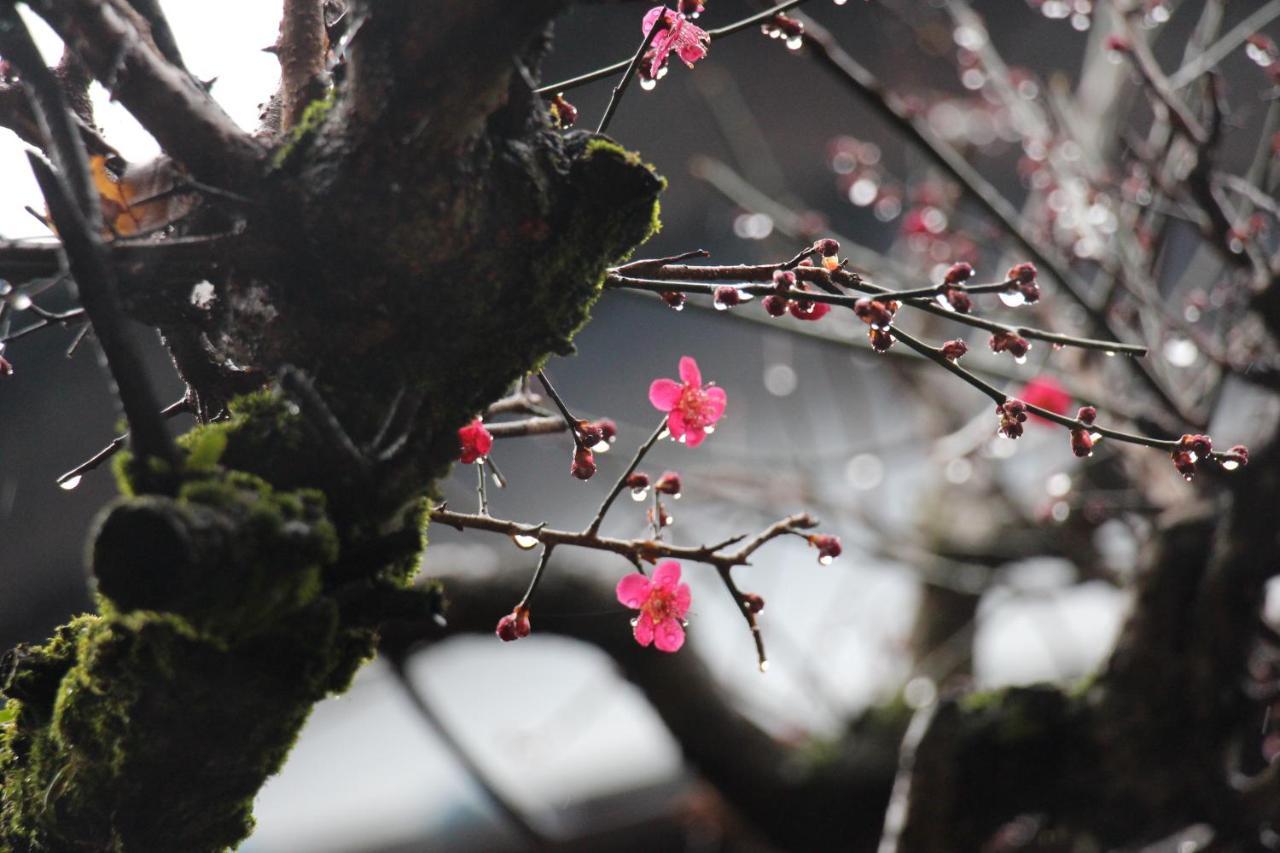 Kougetsu Sanso -- Moon Villa In Tokyo Hachioji Ngoại thất bức ảnh